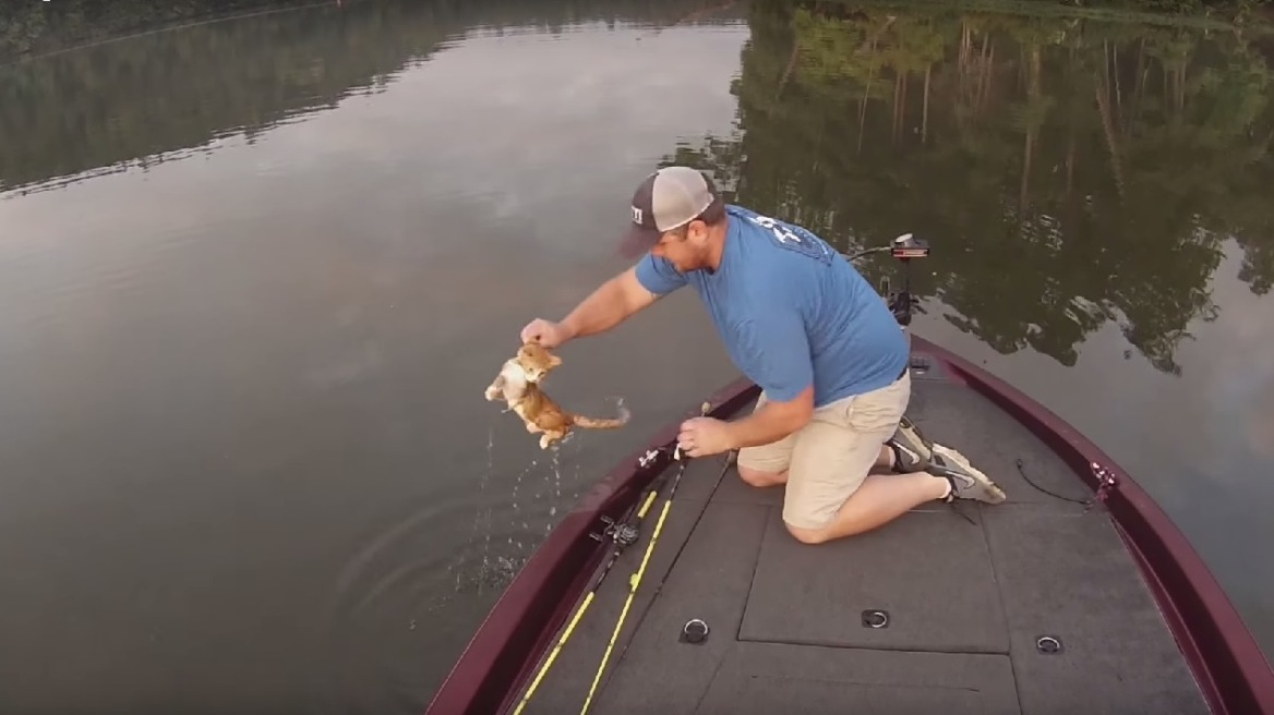 Bίντεο: Πήγαν να ψαρέψουν γατόψαρα και τελικά έπιασαν... γατάκια