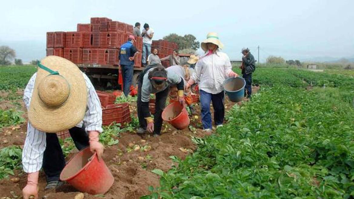 Έρχονται τα μέτρα για τους αγρότες: Κρίσιμες συσκέψεις για το πώς θα αντιδράσουν