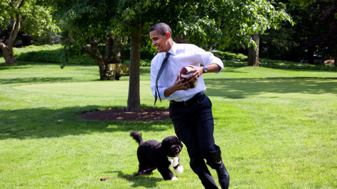 Happy Birthday, Bo Obama! (pics + vids)