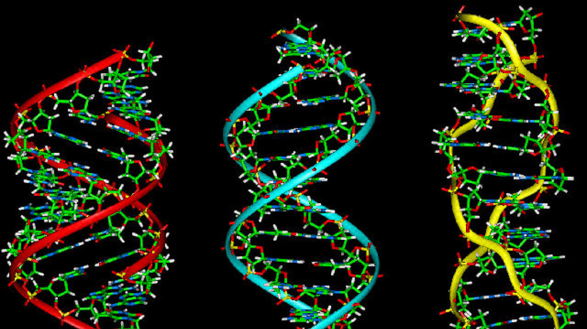 Νέα έρευνα: Το ανθρώπινο DNA είναι πολύ διαφορετικό απ' ότι γνωρίζουμε