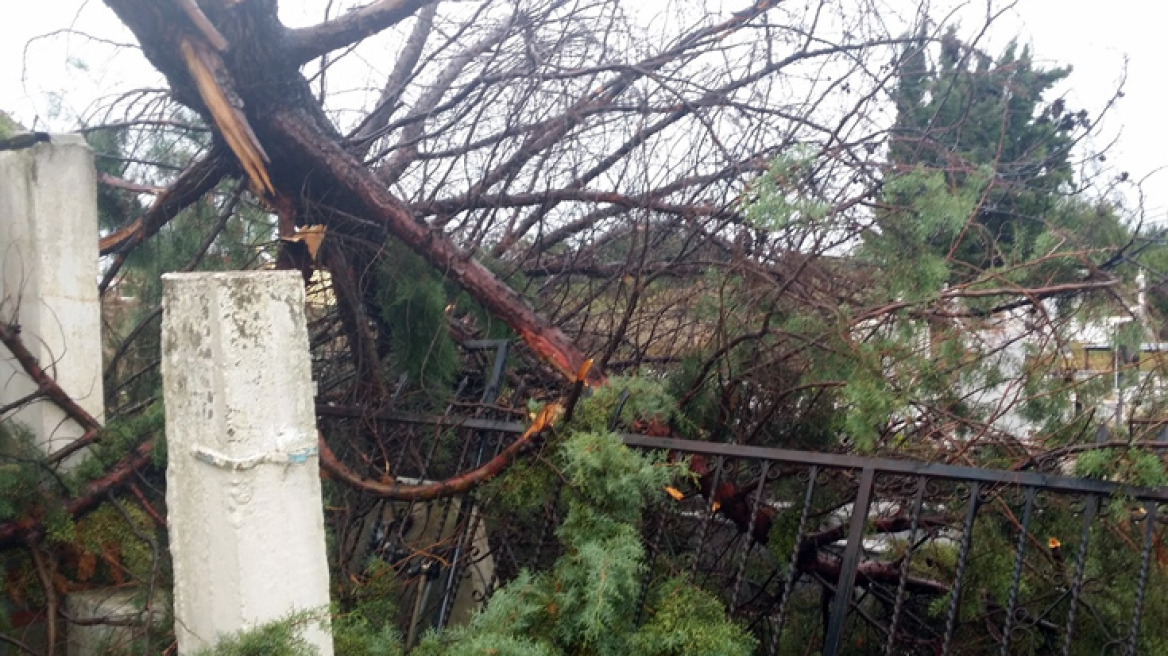 Φωτογραφίες: Ανεμοστρόβιλος σήκωσε στέγες στην Ξάνθη
