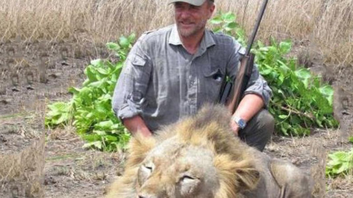 Νέα υπόθεση «Σεσίλ»: Ιταλός κτηνίατρος σκότωσε λιοντάρι