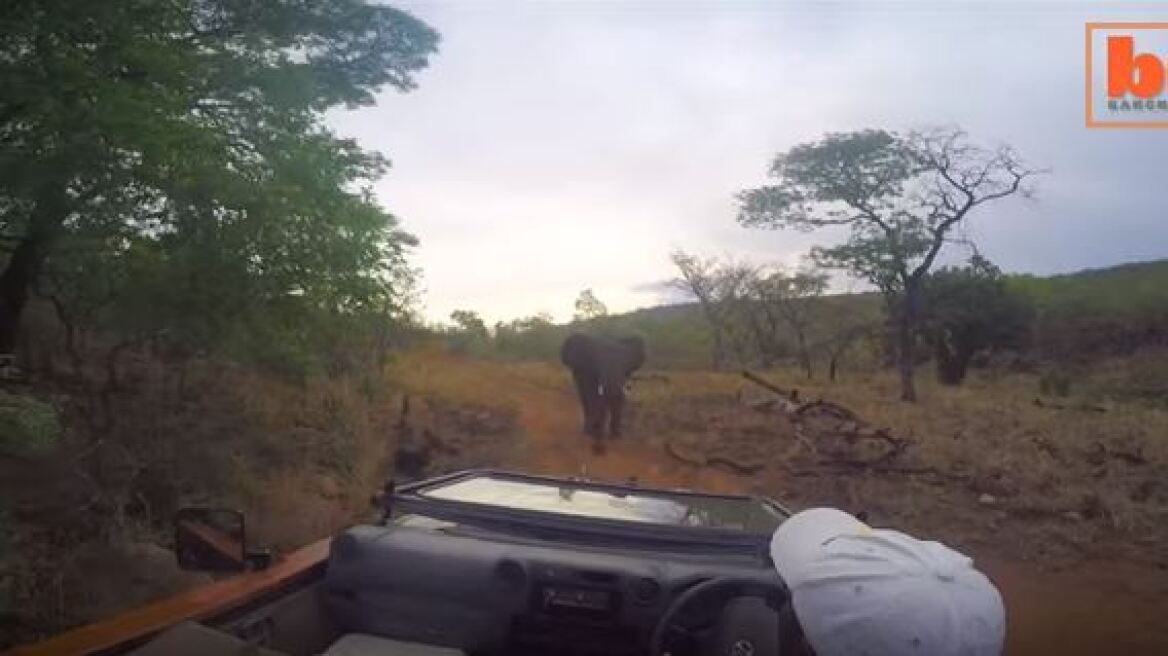 Εξαγριωμένος ελέφαντας κυνηγάει τηλεοπτικό συνεργείο στην Αφρική 