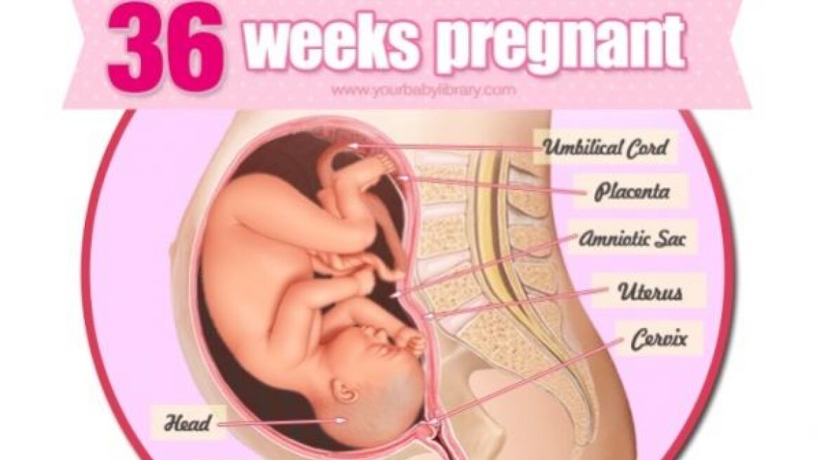 Εγκυμοσύνη ανά εβδομάδα: 36η εβδομάδα της κύησης!