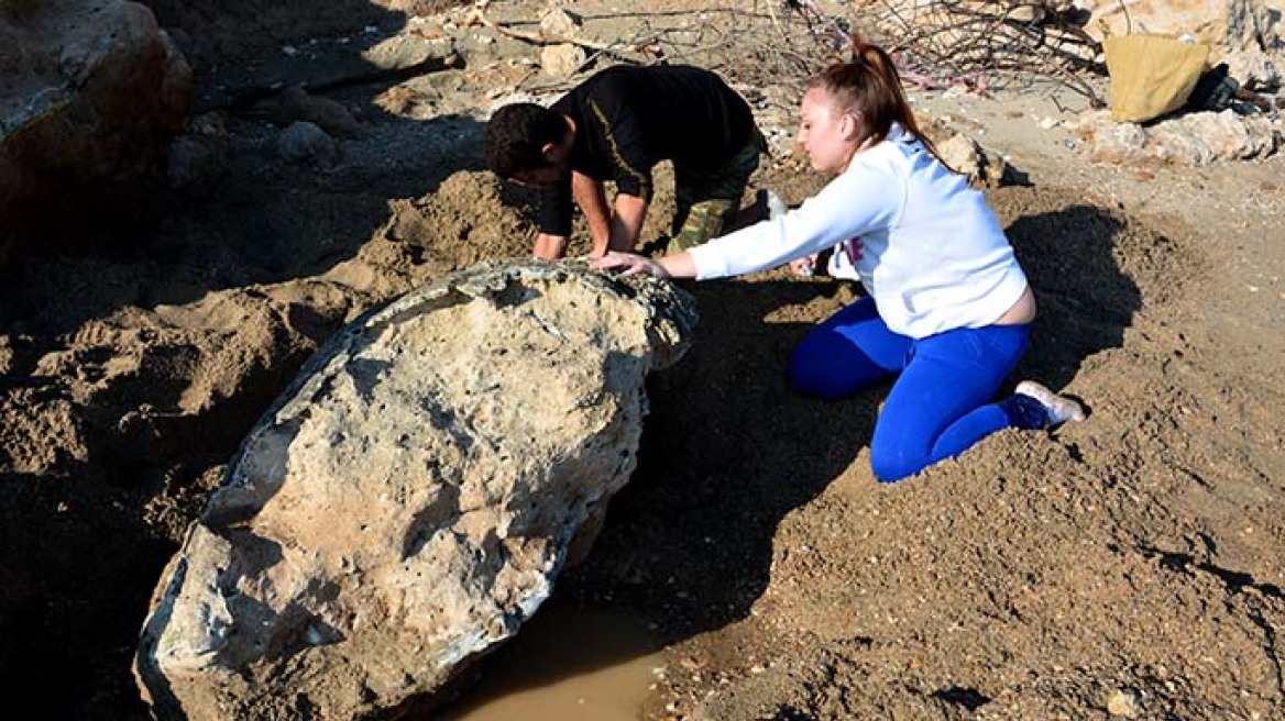 Ανακάλυψαν γιγάντιες απολιθωμένες χελώνες τριών εκατ. ετών στην Πιερία