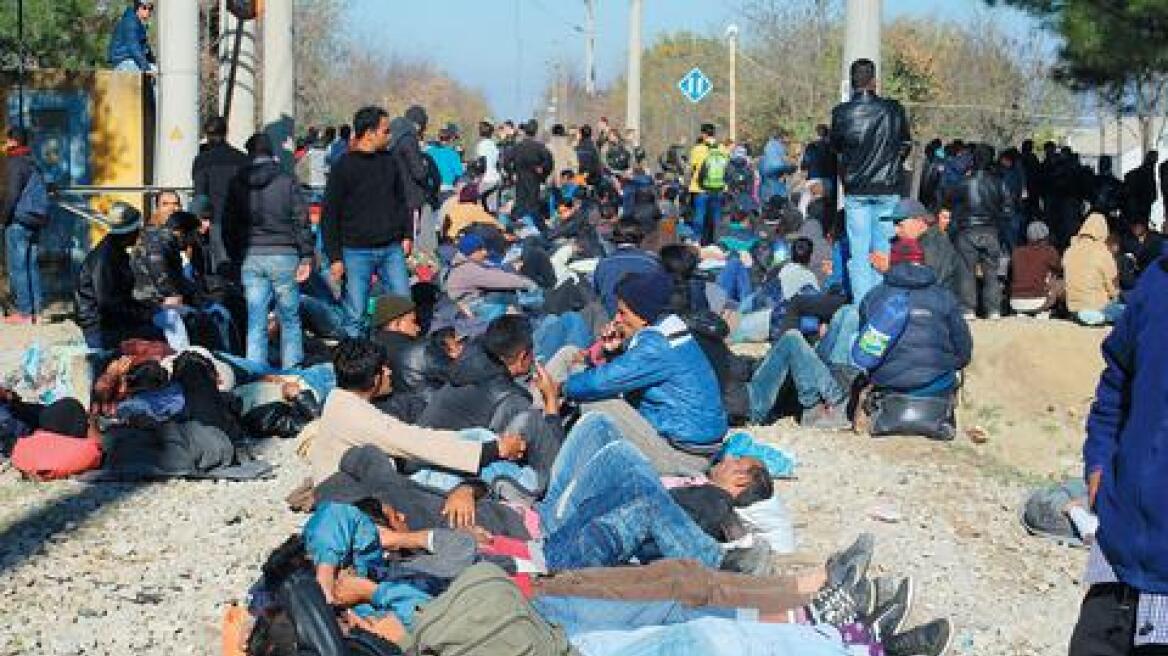 Λέρος: Ελληνοαμερικανοί γερουσιαστές στα υπό κατασκευή σημεία υποδοχής προσφύγων