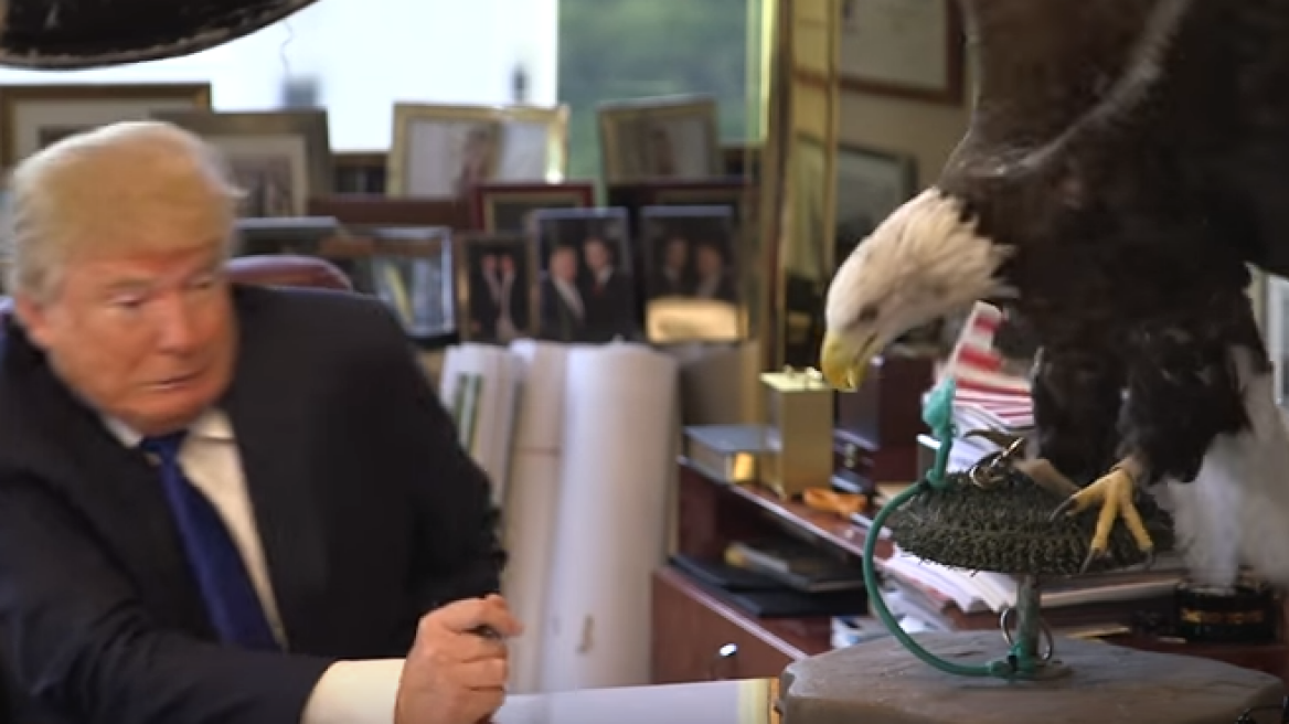 Βίντεο: Ένας αετός «ορμάει» στον Ντόναλντ Τραμπ!