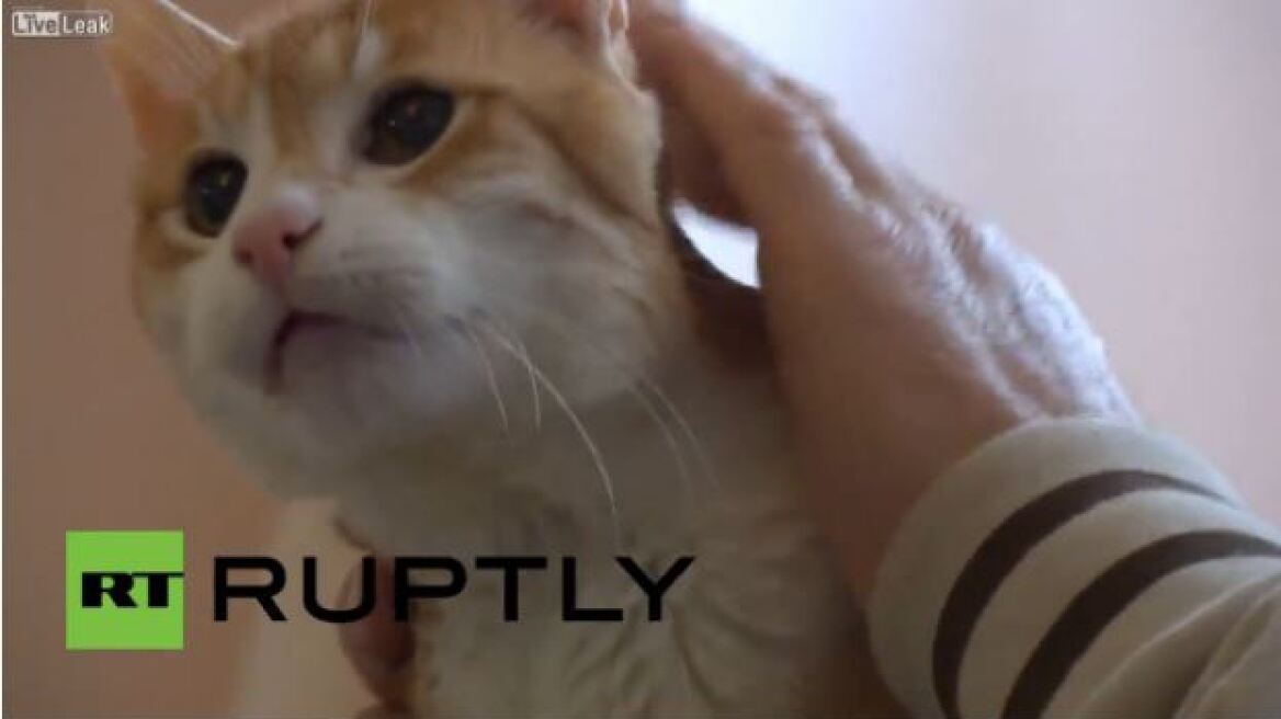 Βίντεο: Δείτε την γηραιότερη γάτα στην Ευρώπη που είναι... 23 ετών