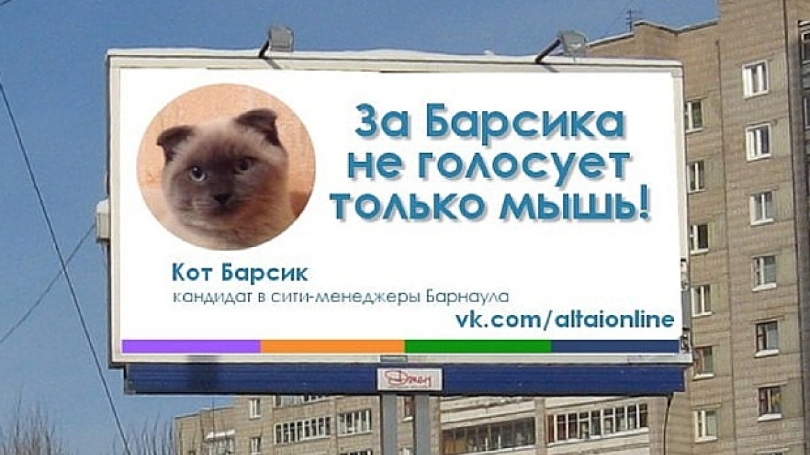 Πόλη στη Σιβηρία θέλει για δήμαρχό της μια... γάτα! 