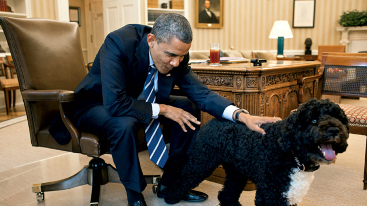 Απίστευτο: Ψυχοπαθής σχεδίαζε να απαγάγει τα σκυλιά του Ομπάμα