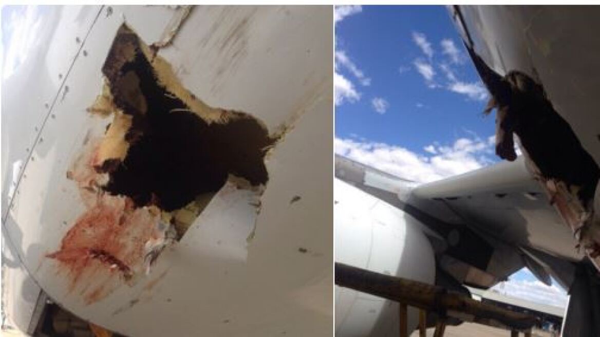 Εικόνες σοκ: Δείτε την τρύπα που άνοιξε σε αεροπλάνο η σύγκρουση με ένα πουλί