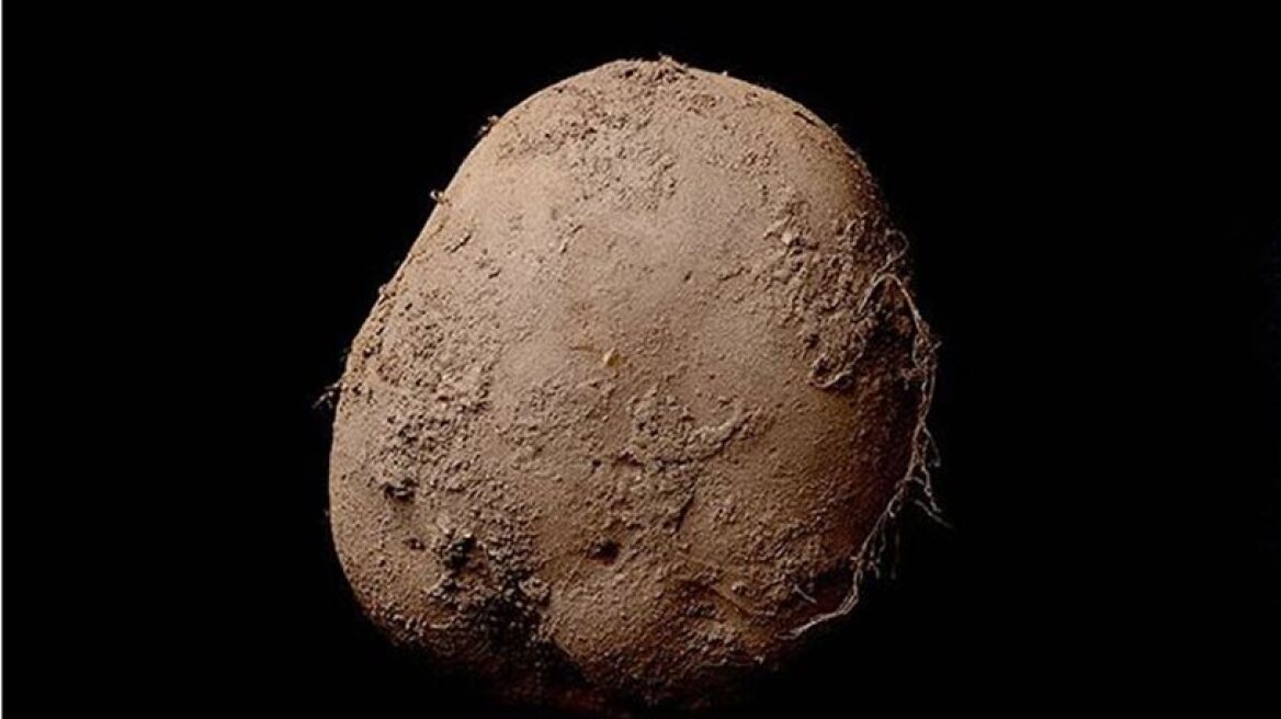 Photo of potato sold for 1,000,000 euros