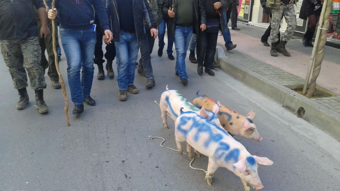 Βίντεο: Οι αγρότες έβαλαν τα γουρούνια μπροστά κι έκαναν πορεία στο Ρέθυμνο