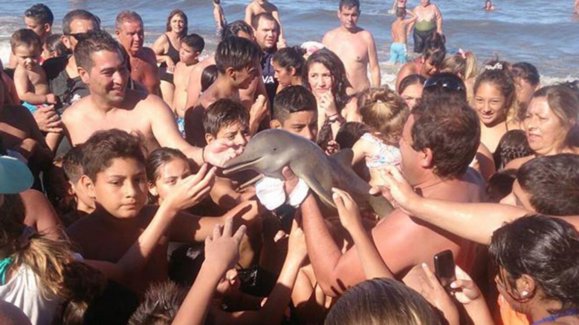 Φρικτός θάνατος για δελφίνι στην Αργεντινή από λουόμενους που ήθελαν... selfie