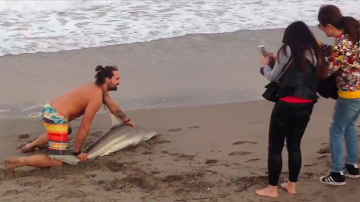 Νέο κρούσμα κακοποίησης ζώου για... selfies - Άνδρας έσυρε καρχαρία στη στεριά για να ποζάρει μαζί του