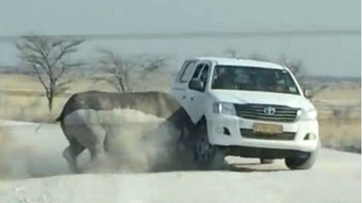 Βίντεο-σοκ: Ρινόκερος ορμάει σε αυτοκίνητο τουριστών σε σαφάρι