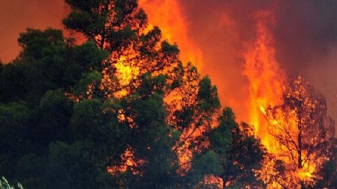 Φωτιά στα Σφακιά Κρήτης: Η δύσβατη περιοχή δυσκολεύει τους πυροσβέστες
