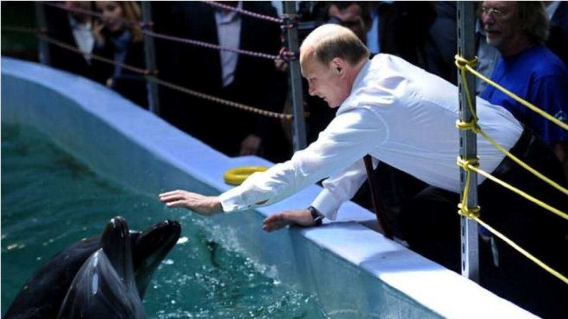 Οι Ρώσοι ξαναφέρνουν τα δελφίνια σε στρατιωτική υπηρεσία