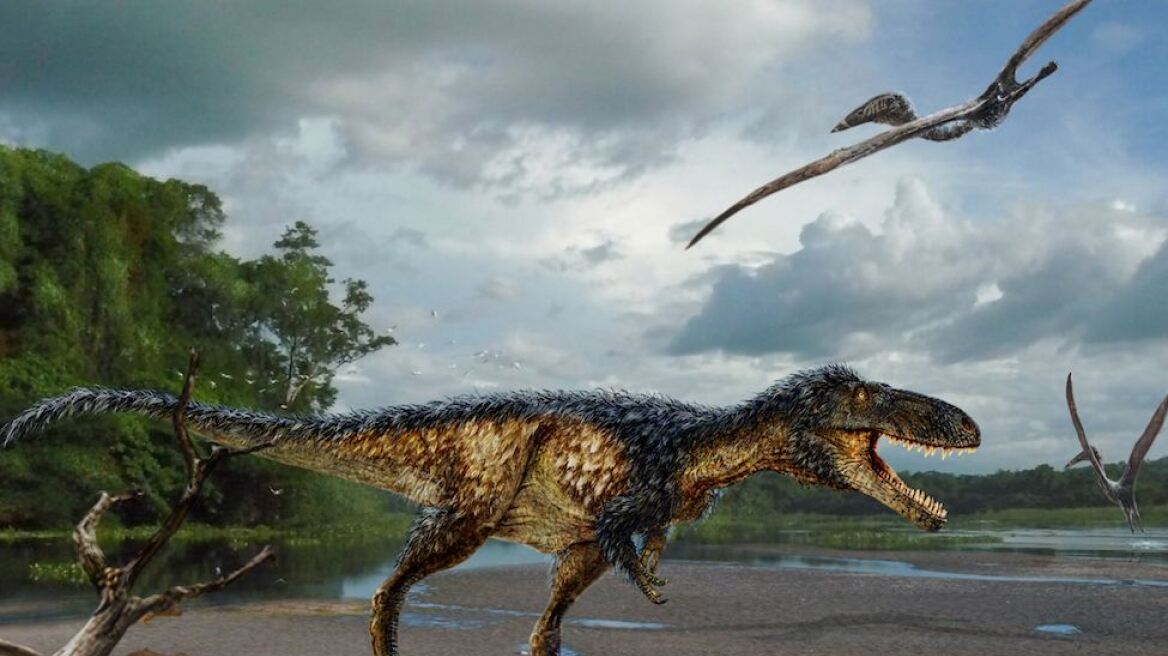 Ανακαλύφθηκε άγνωστος δεινόσαυρος «ξάδερφος» του Τυραννόσαυρου