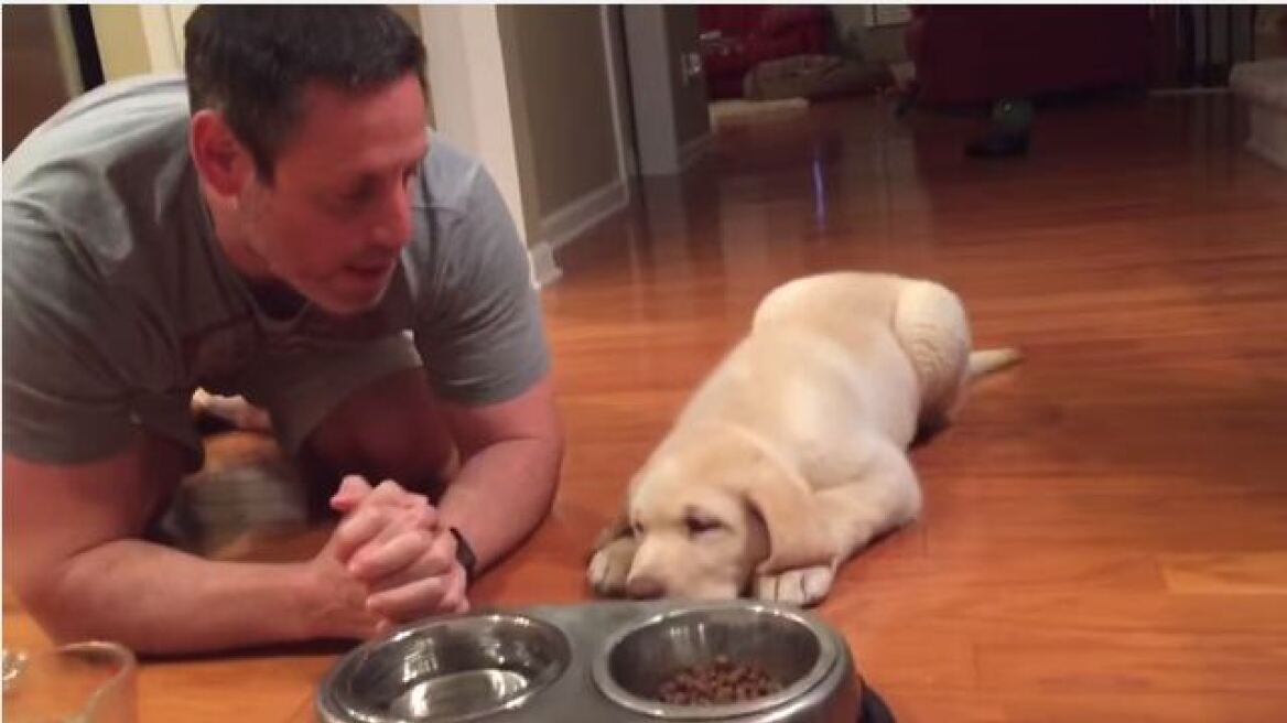 Βίντεο: Δείτε το απίστευτο σκυλάκι που κάνει την προσευχή του πριν φάει