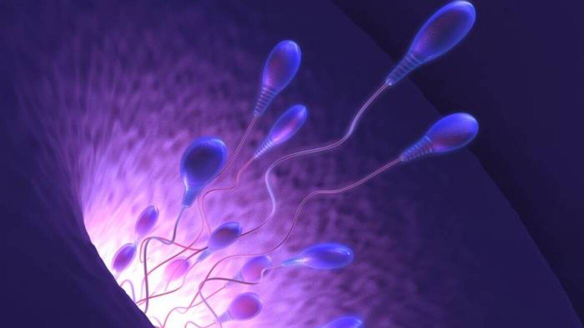 Εκτυπωμένη ωοθήκη εργαστηρίου αποκατέστησε τη γονιμότητα σε πειραματόζωα