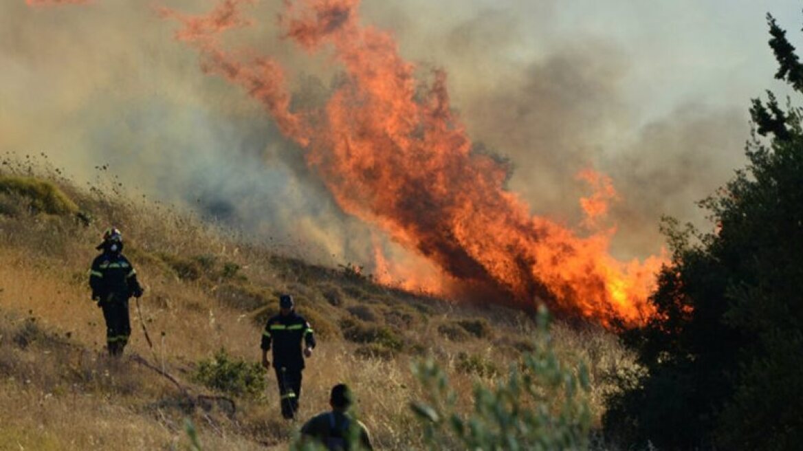Forest fire in Lasithi, Crete
