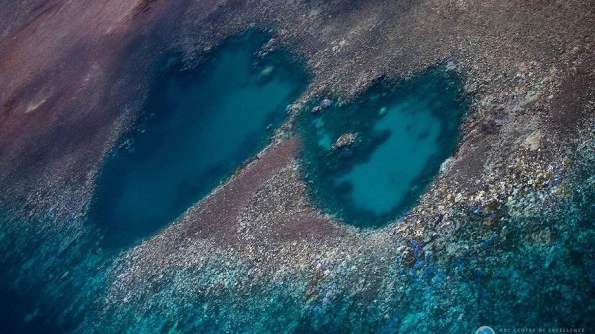 Αυστραλία: Ο Μεγάλος Κοραλλιογενής Ύφαλος κινδυνεύει με καταστροφή