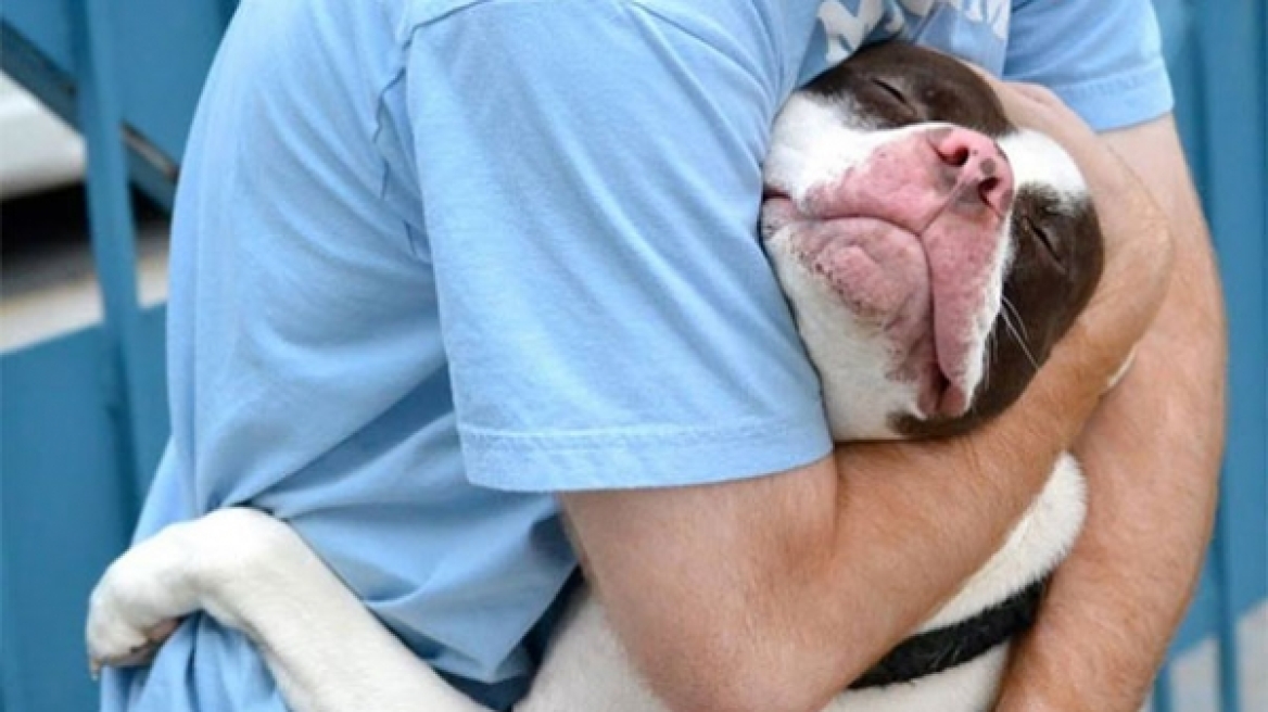 Νέα έρευνα: Τα σκυλιά απεχθάνονται τις αγκαλιές των ανθρώπων
