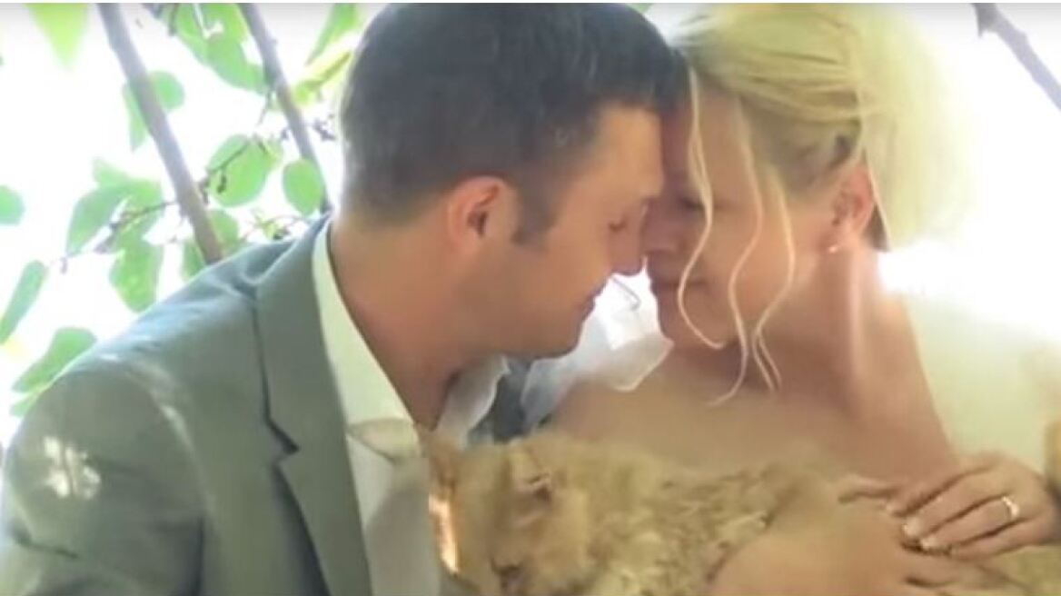 Βίντεο: Δείτε το ζευγάρι παντρεύτηκε με καλεσμένους 1000 γάτες!