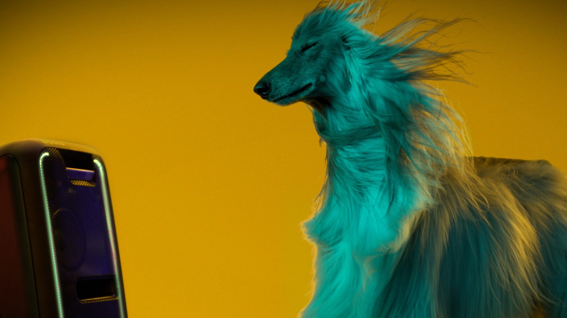 Βίντεο: Τα σκυλιά προτιμούν τη Μπιγιονσέ από τον Μπετόβεν