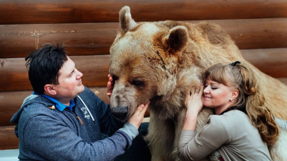 Βίντεο: Ζευγάρι στη Ρωσία έχει για κατοικίδιο... μία αρκούδα!