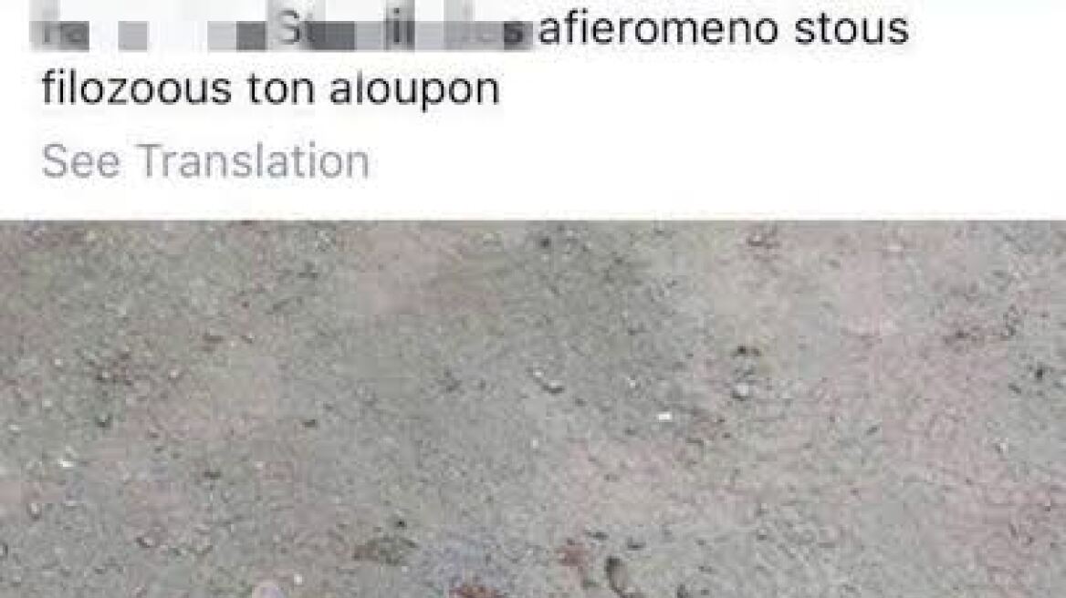 Ανατριχιαστική φωτογραφία: Κύπριος κυνηγός καμαρώνει επειδή σκότωσε οικογένεια αλεπούδων
