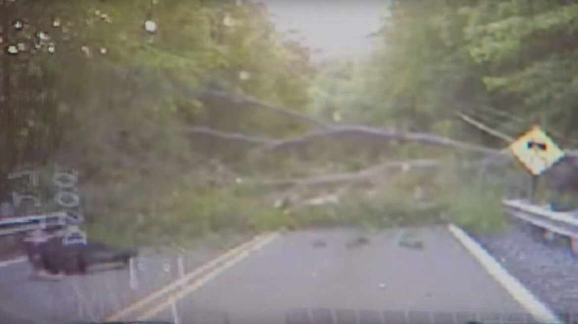 Βίντεο: Δέντρο καταπλακώνει αστυνομικό 