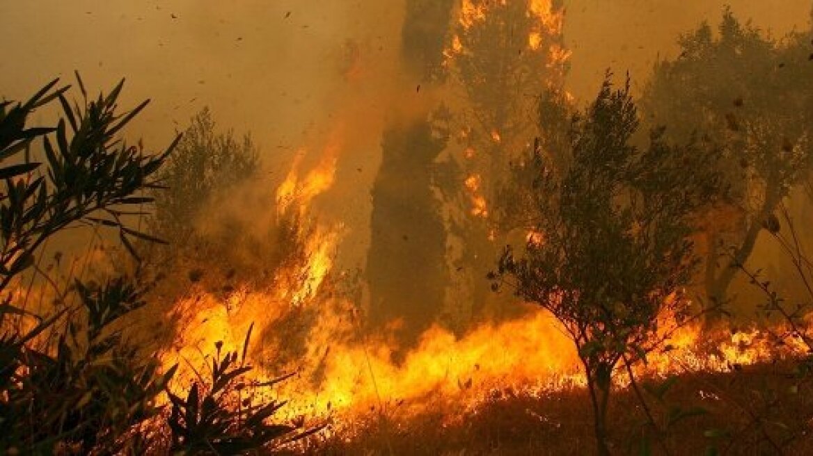 Μεγάλη φωτιά στην Κίσσαμο Χανίων