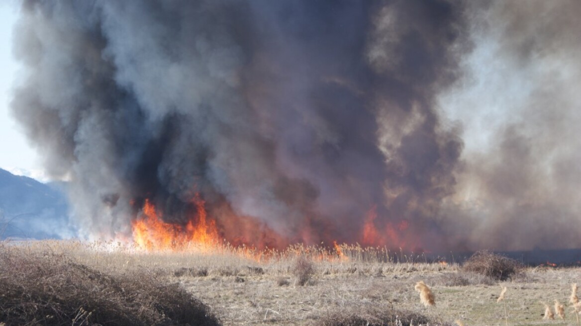 Κύπρος: Έκαιγε χόρτα και κάηκε ζωντανή