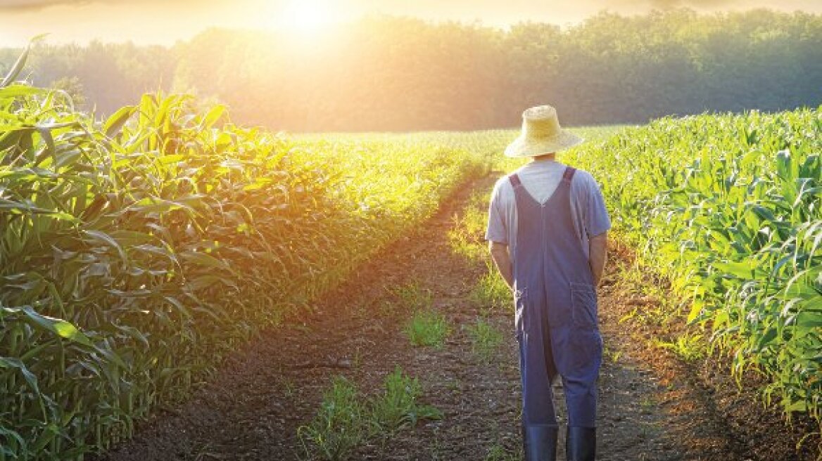 Απειλή για τους αγρότες –και όχι μόνο– ο ήλιος