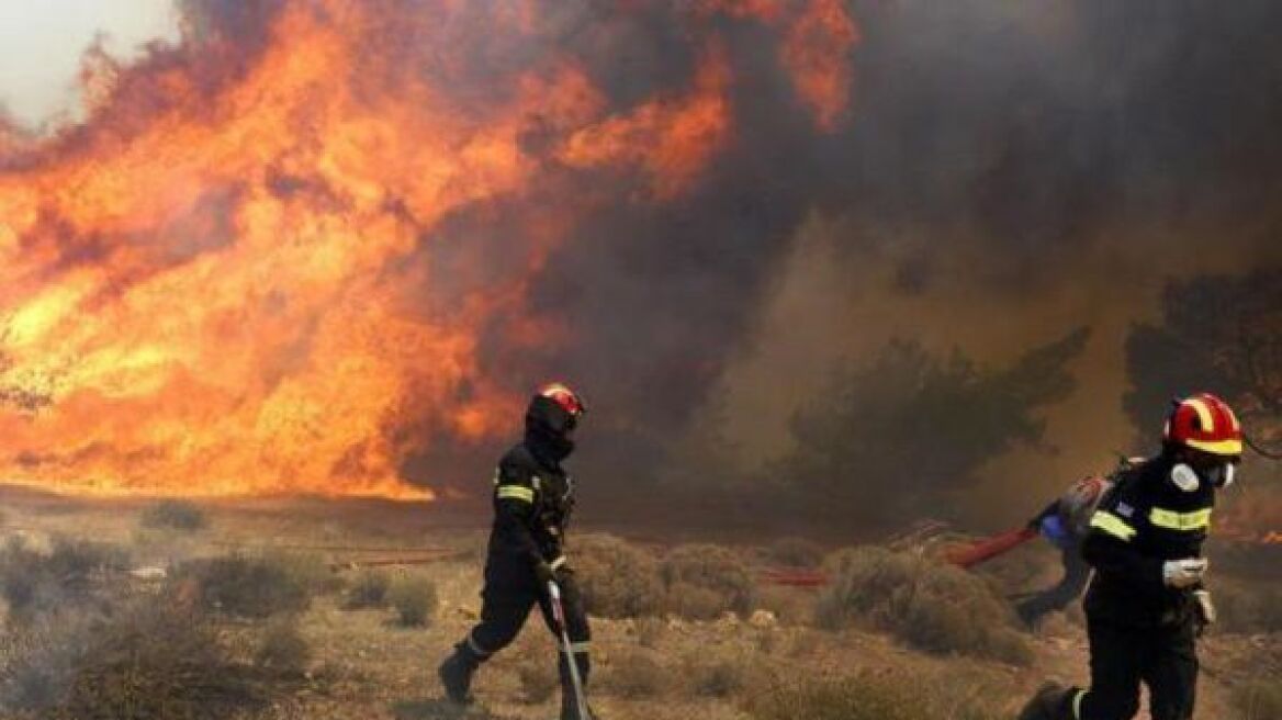 Ηλεία: Μεγάλη φωτιά στη Δαφνούλα Ανδρίτσαινας
