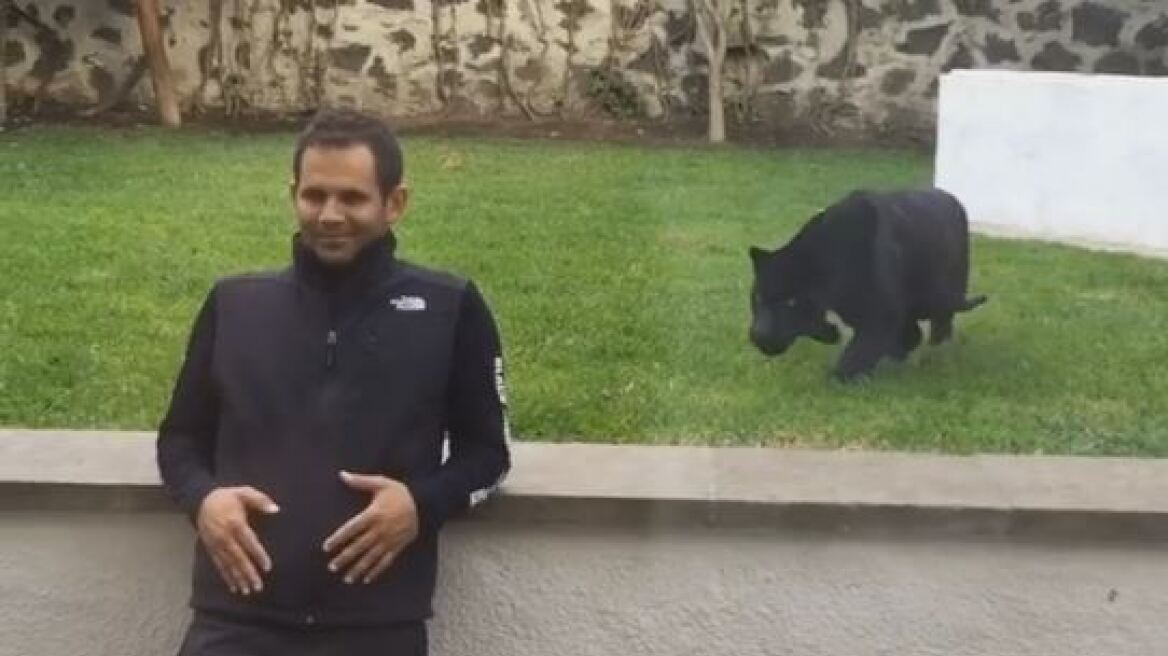 Black panther ‘pounces’ on man only to lick his face! (video)