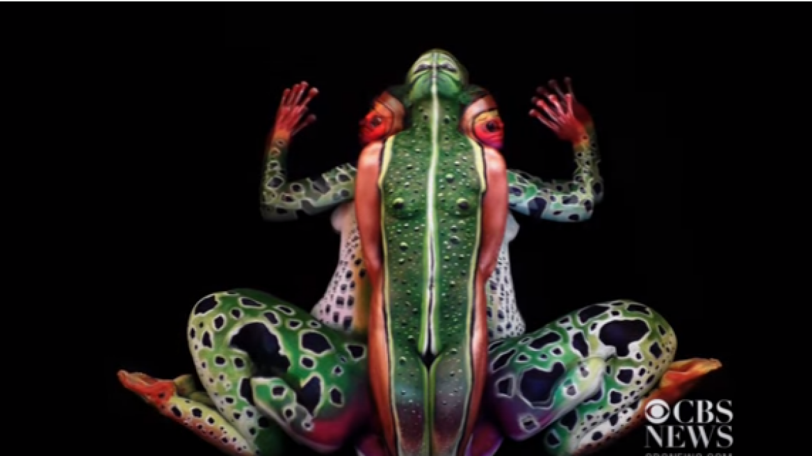 Amazing body paint illusions of animals! (video)