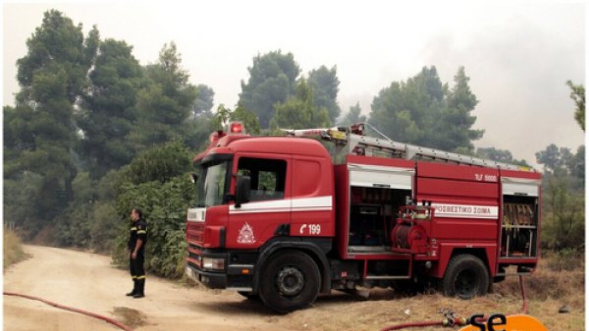 Φωτιά στο Πολύκαστρο - 14 πυροσβεστικά οχήματα στην περιοχή