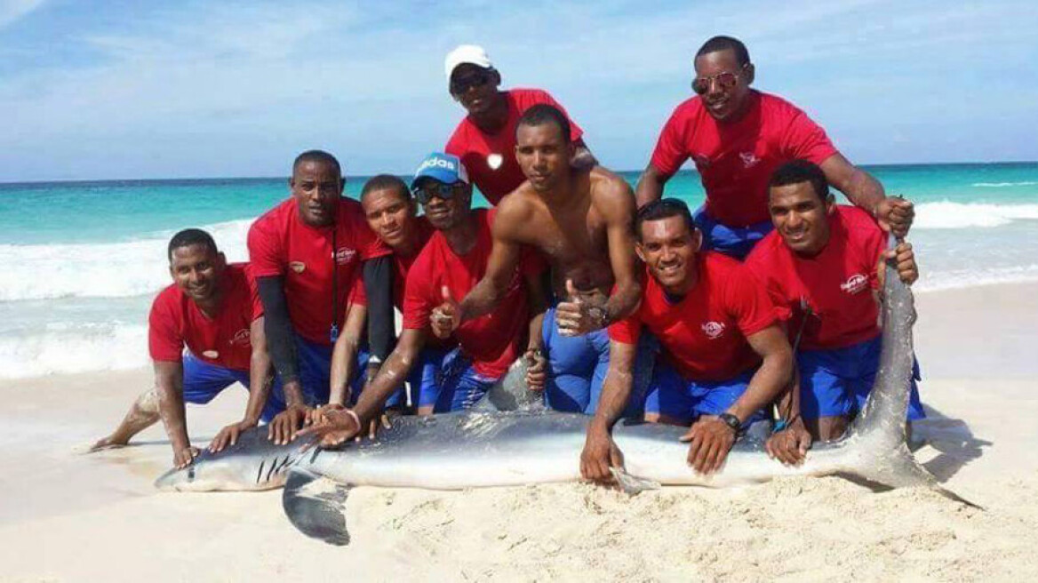 Απίστευτο βίντεο: Τραβούν καρχαρία έξω από την θάλασσα για να βγάλουν selfies!