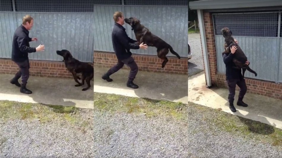 Δείτε την απίστευτη αντίδραση ενός σκύλου όταν είδε το αφεντικό του μετά από δύο εβδομάδες