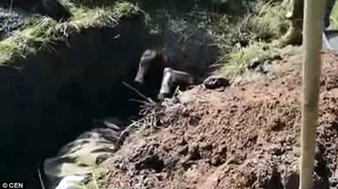 Shocking video shows Ukrainian soldiers burying Russian alive (warning: disturbing images)