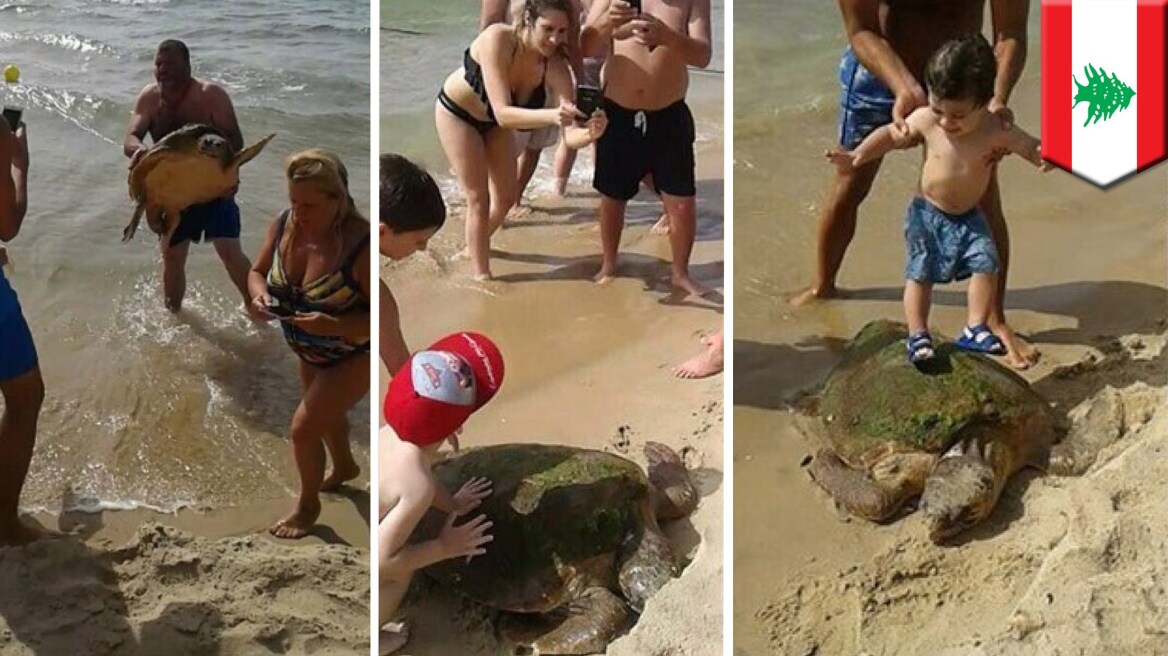 Η φωτογραφία που σοκάρει: Τράβηξαν από την θάλασσα χελώνα για να βγάλουν selfies