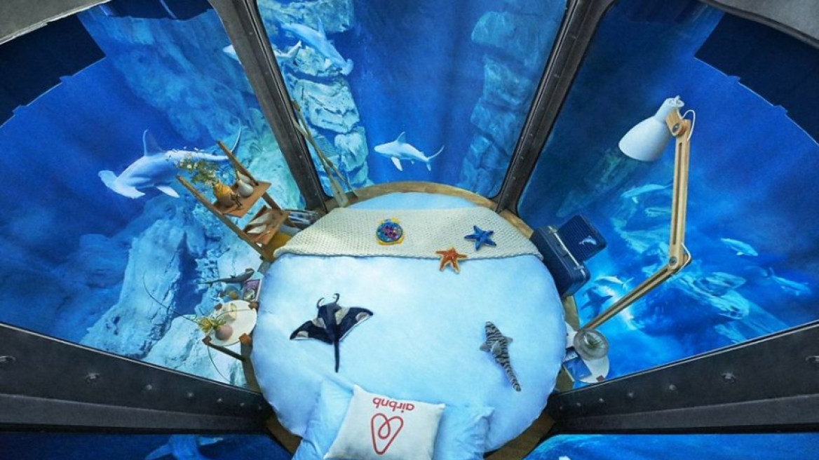 Τι θα λέγατε να κοιμόσασταν ανάμεσα σε 35 καρχαρίες - To πρώτο υποβρύχιο δωμάτιο από την Airbnb