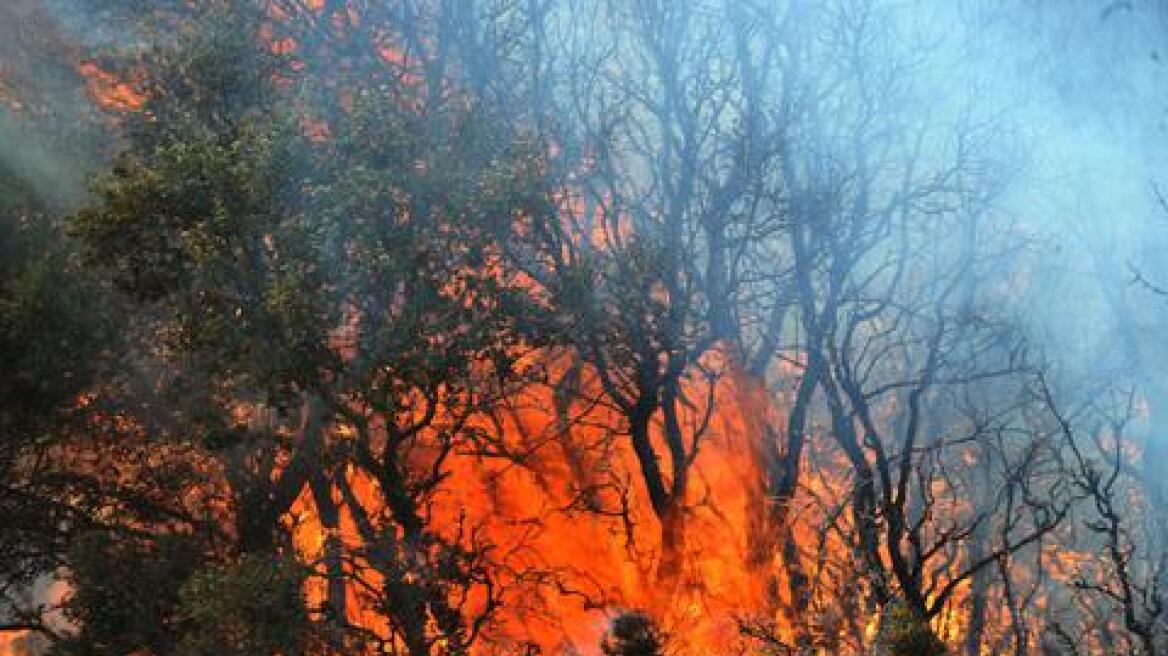 Υπό μερικό έλεγχο η φωτιά στην Παιανία - Πυρκαγιά στα Ψαρά