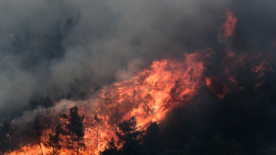 Κρήτη: Πυρκαγιά στην Ιεράπετρα
