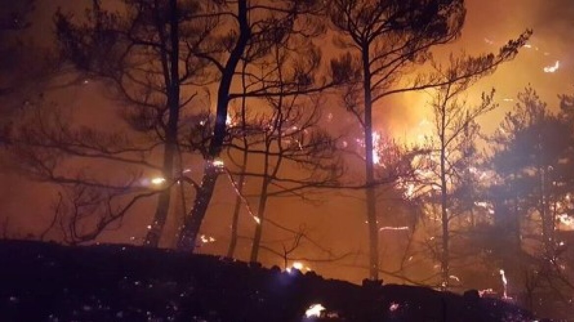 Ιεράπετρα: Σε ύφεση η πυρκαγιά στο Σελάκανο 