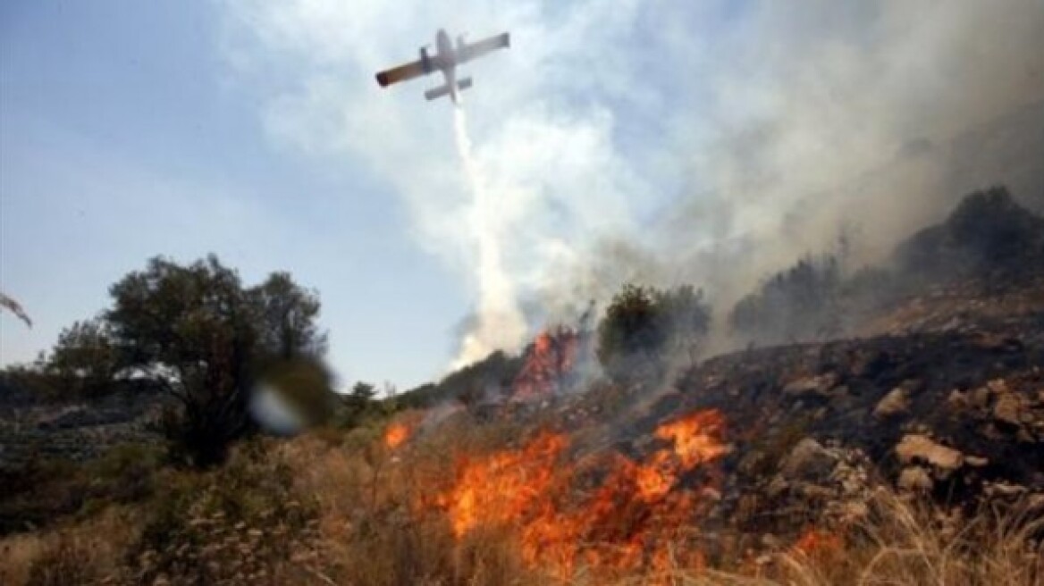 Πυρκαγιά σε δασική έκταση στη Λακωνία