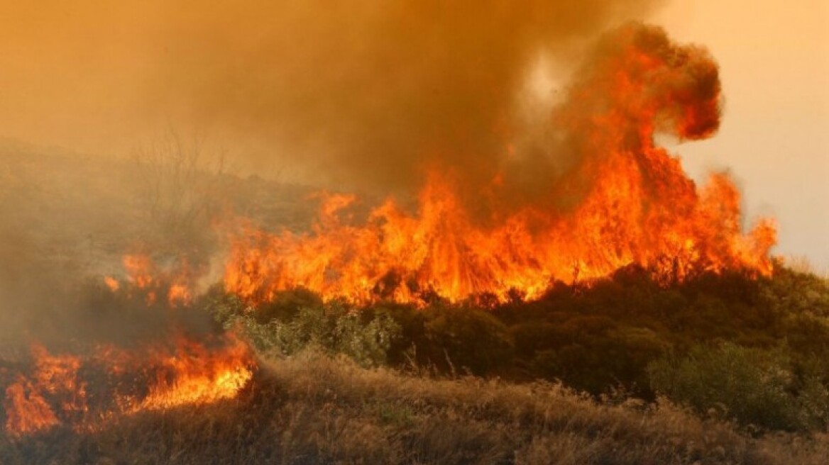 Πυρκαγιά σε δασική έκταση στο Λαύριο
